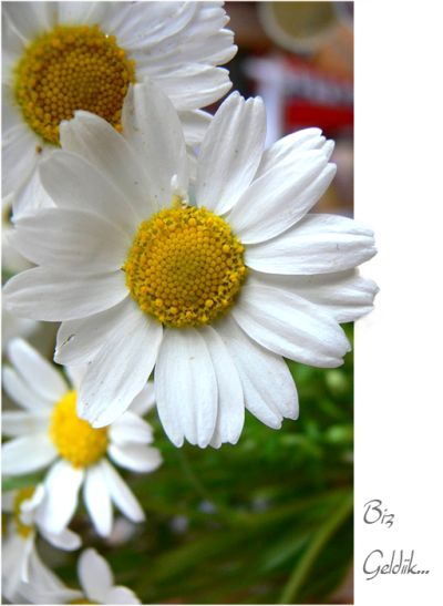 Featured image 1